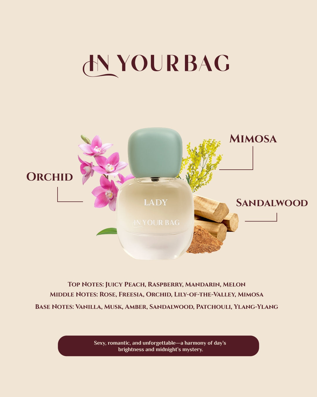 IN YOUR BAG Lady