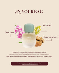 IN YOUR BAG Lady