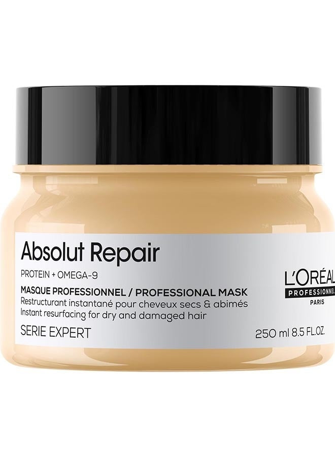 L'Oreal Professionnel  Absolut Repair Mask for Dry and Damaged Hair 250.0ml