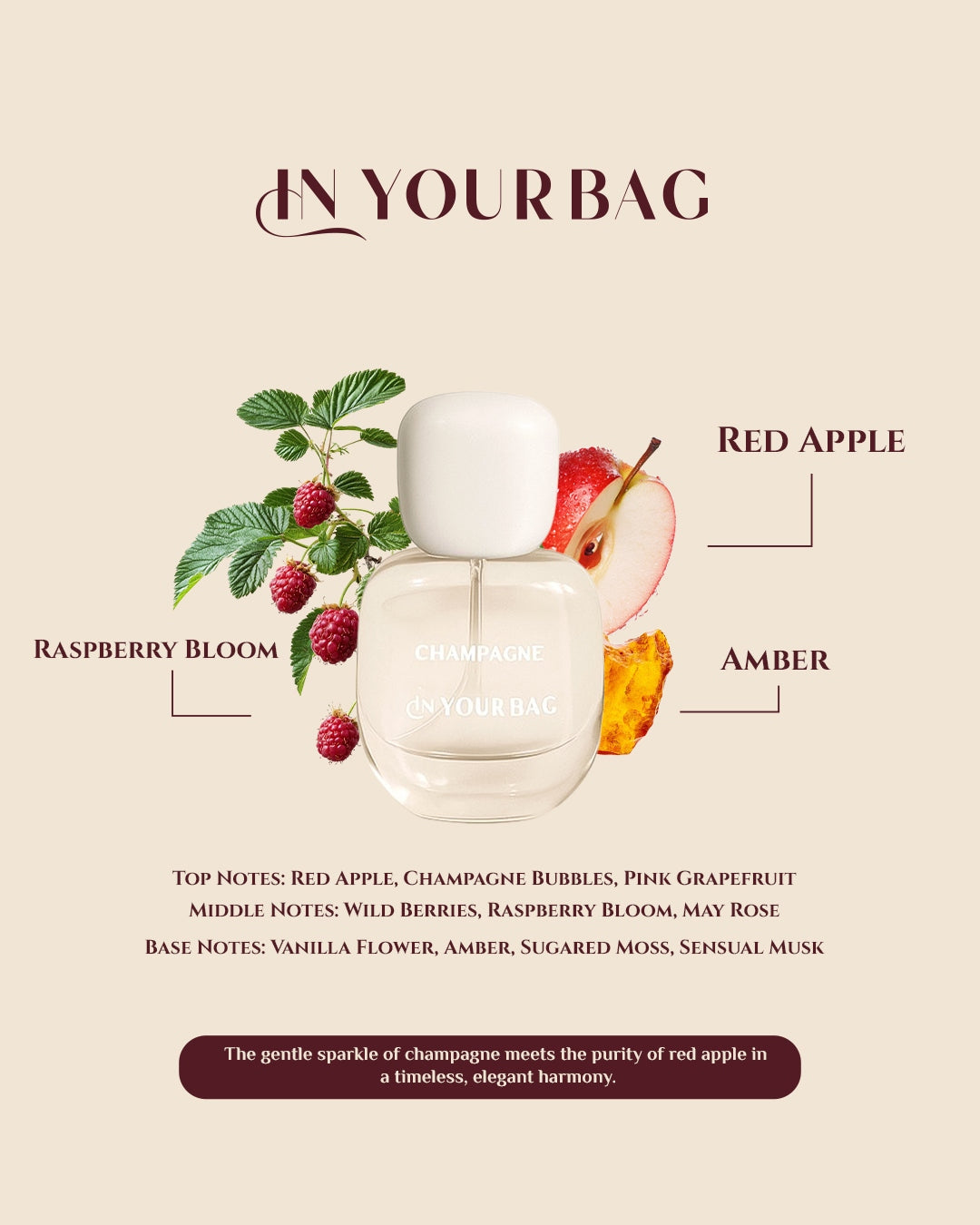 IN YOUR BAG Champagne