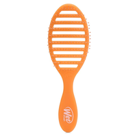 Wet Brush - Speed Dry